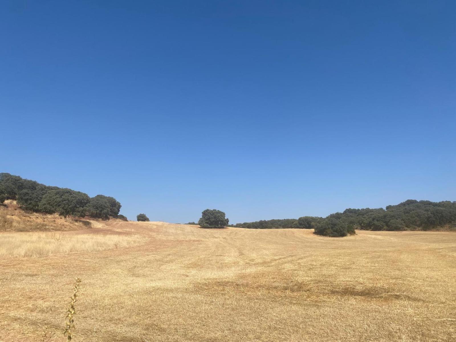 Casa Rural El Contarin - An Andalusian Escape, Archidona, Malaga 외부 사진