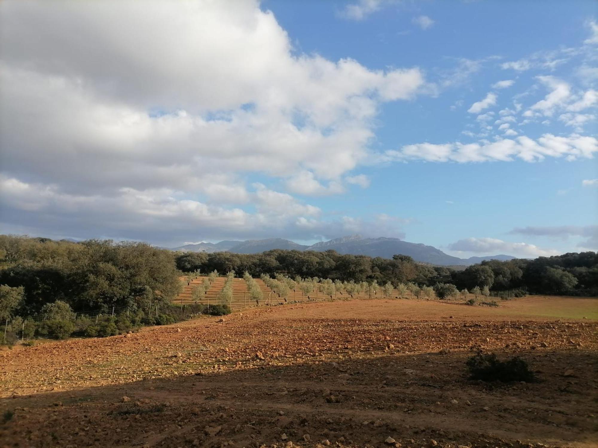 Casa Rural El Contarin - An Andalusian Escape, Archidona, Malaga 외부 사진